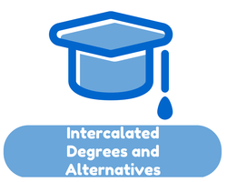 How to Intercalated Degrees and Alternatives - IJS Careers