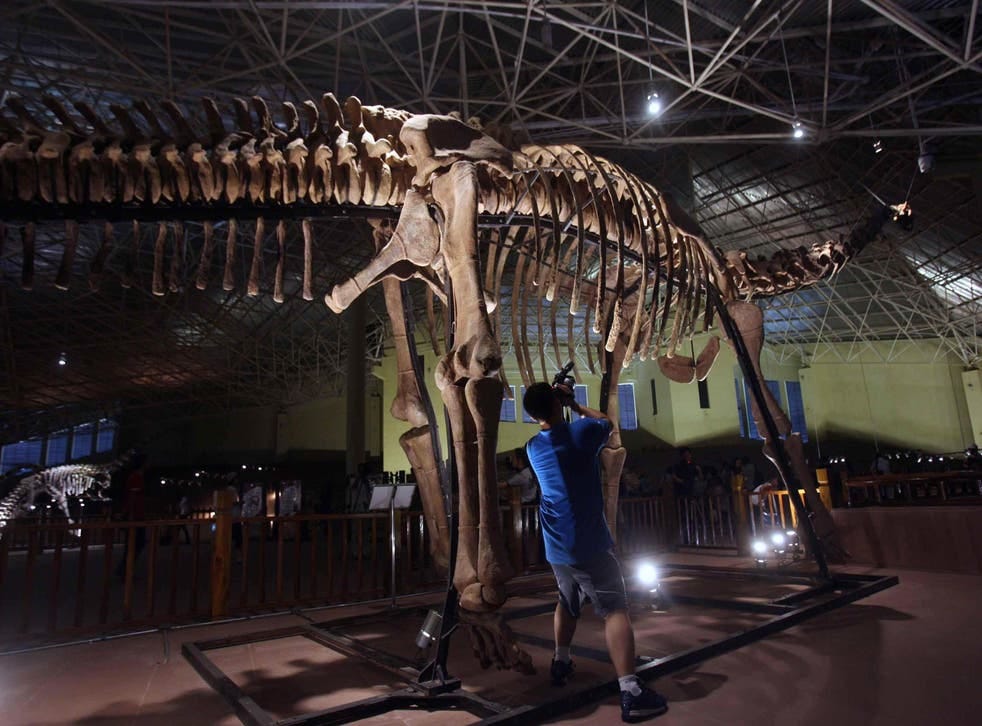 Scientists in China discover two new massive dinosaur species as big as  blue whales | The Independent