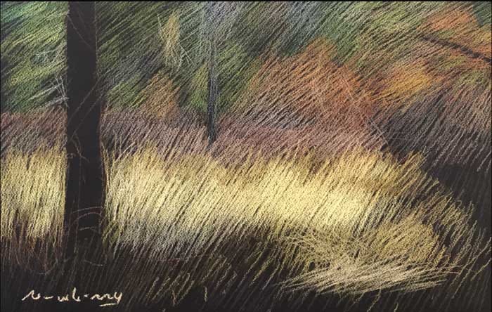 Newberry, pastel of Saunders Meadow in Idyllwild