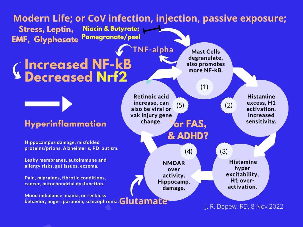 Modern Life; or CoV infection, injection, passive exposure; Stress, Leptin, EMF, Glyphosate - all promote hyperinflammation. Niacin, butyrate and pomegranate peel inhibit mast cell degranulation and help stop the hyperinflammation which can lead to hippocampus damage and Alzheimer's dementia and other chronic degenerative conditions. Increased NF-kB itself inhibits Nrf2. Pomegranate and other Nrf2 promoting phytonutrients help reverse that push. Excess Retinoic Acid and histamine in the diet would worsen the hyperinflammation and NMDAR damage in the hippocampus. 