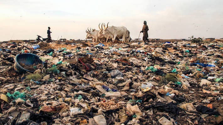FAO - Notícias: Report sounds alarm on soil pollution
