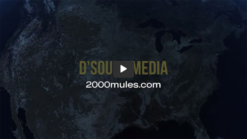 D'Souza Media - 2000mules.com.