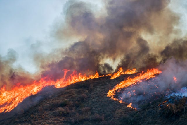 https://www.epa.gov/system/files/styles/medium/private/images/2022-02/wildfire-california.png?itok=inOpHZU7