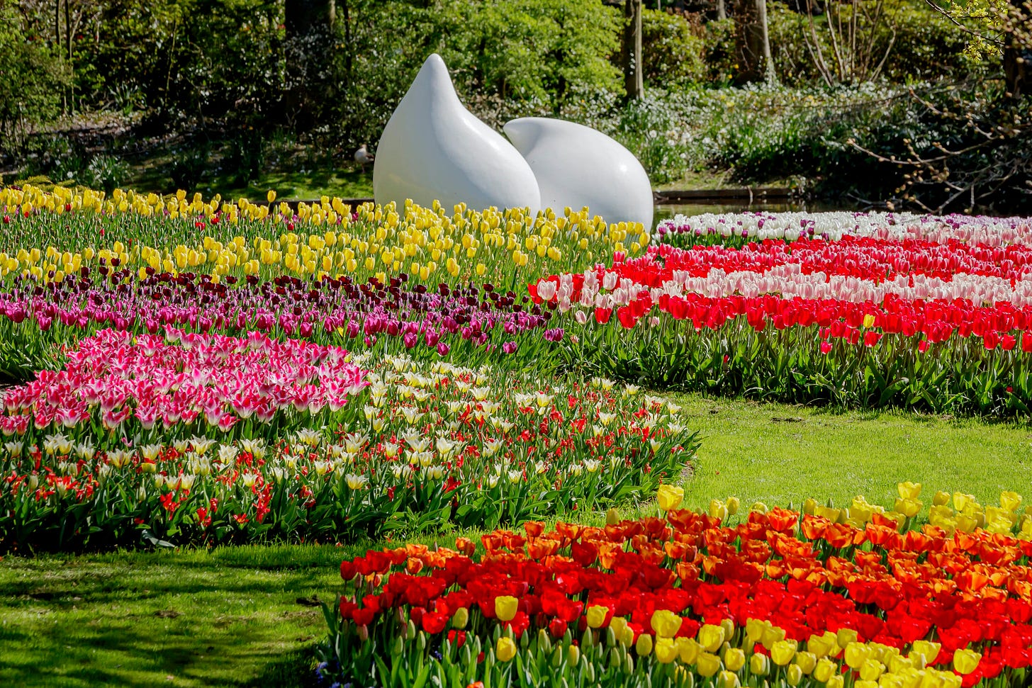 7 beautiful botanic gardens you can tour from home - Lonely Planet