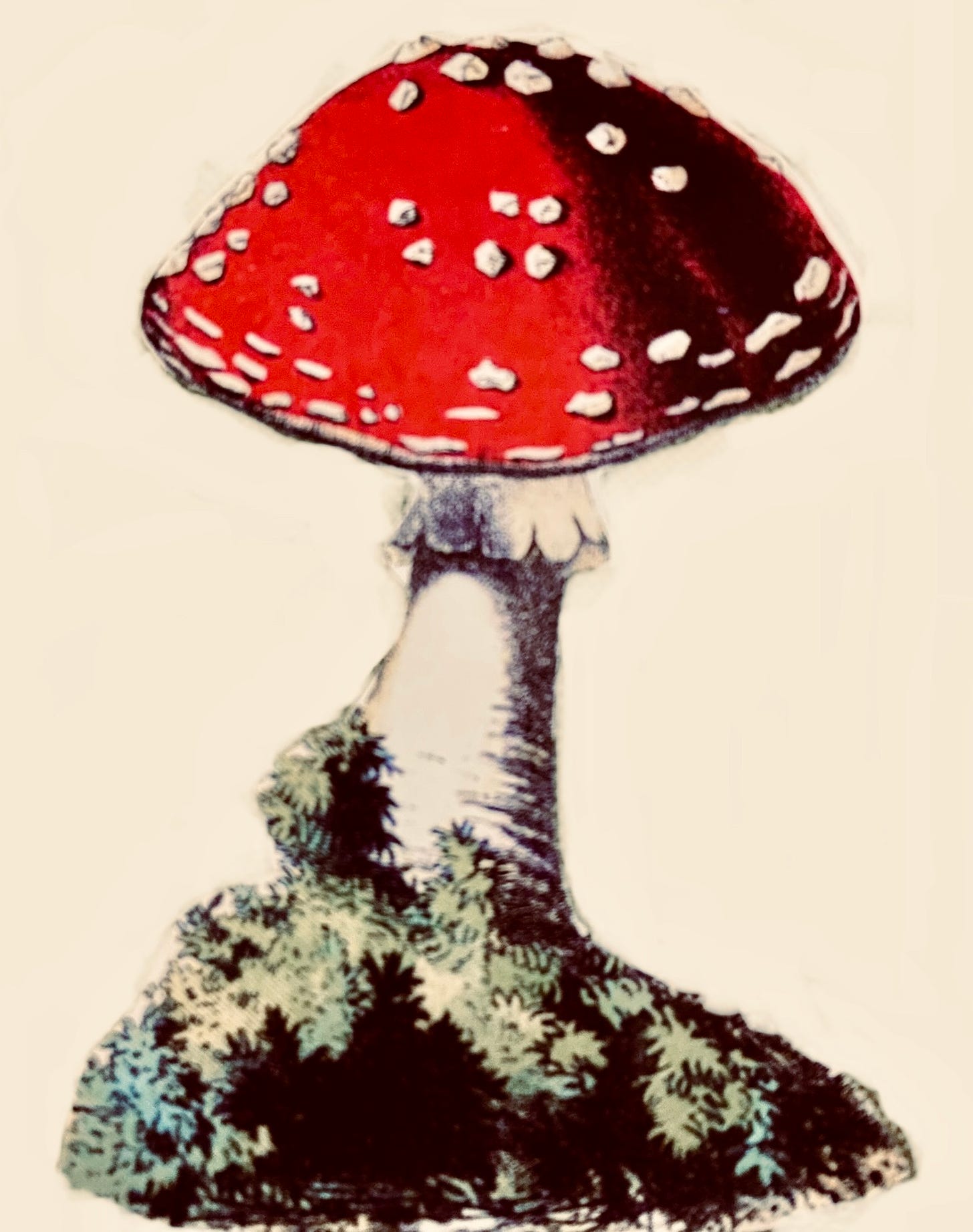 A strawberry colored mushroom.