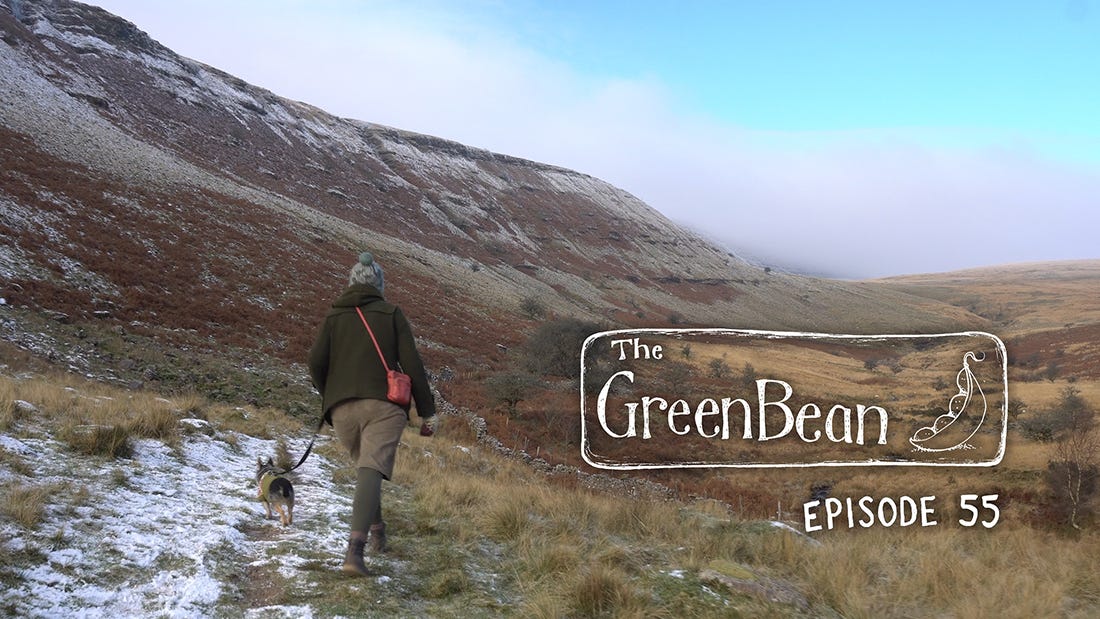Image description: Title card for Episode 55 of The Green Bean Podcast. Katie and Jack, a human and small dog, are walking at the foot of a snow dusted mountain, with blue sky above and bank of cloud closing in from the mountaintop. Katie is wearing woolly hat, duffle coat, shorts, leggings and a red bag full of tasty treats. Jack is wearing a green woolly jumper. Overlaid in white is the title and logo for The Green Bean Podcast, and the words 'Episode 55'.