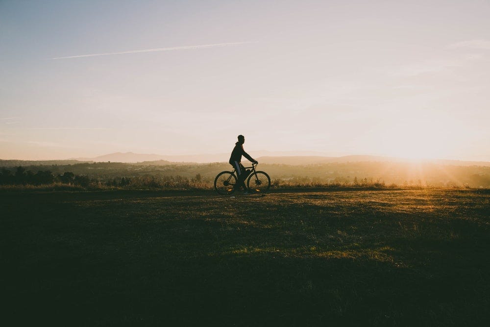 person riding bicycle near grass in sunset