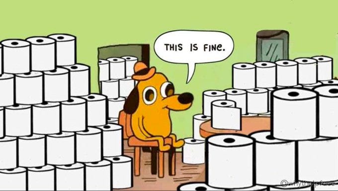 this is fine dog in burning room meme but with toilet paper rolls instead of flames, the dog is sitting in a room piled up with dozens of toilet paper rolls and the caption bubble says This is fine.