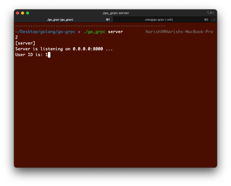 Server is listenining… User ID is: 1
