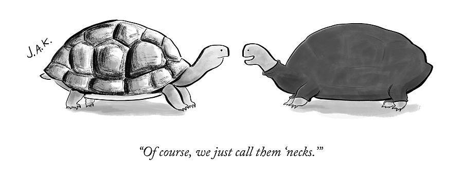 Two Turtles by Jason Adam Katzenstein