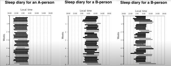 Source: Till Roenneberg (2012): Internal Time, Harvard University Press