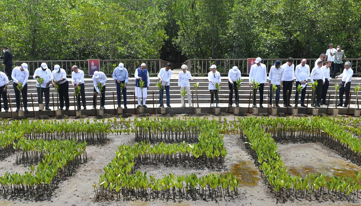 G20 leaders at a mangrove forest in Bali, Indonesia (Image: Twitter/@PMOIndia)