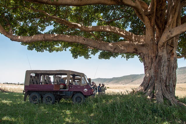 Our huge jeep underneath an even larger tree.
