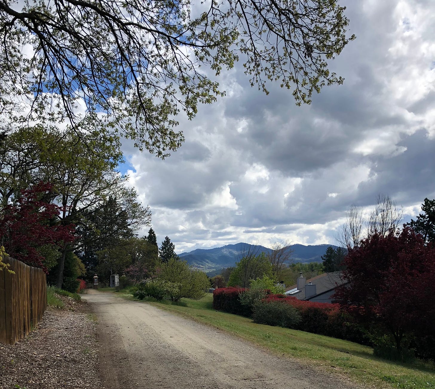 a dirt road leading to a distant gate with lots of trees and a view of mountains with a dramatically cloudy sky