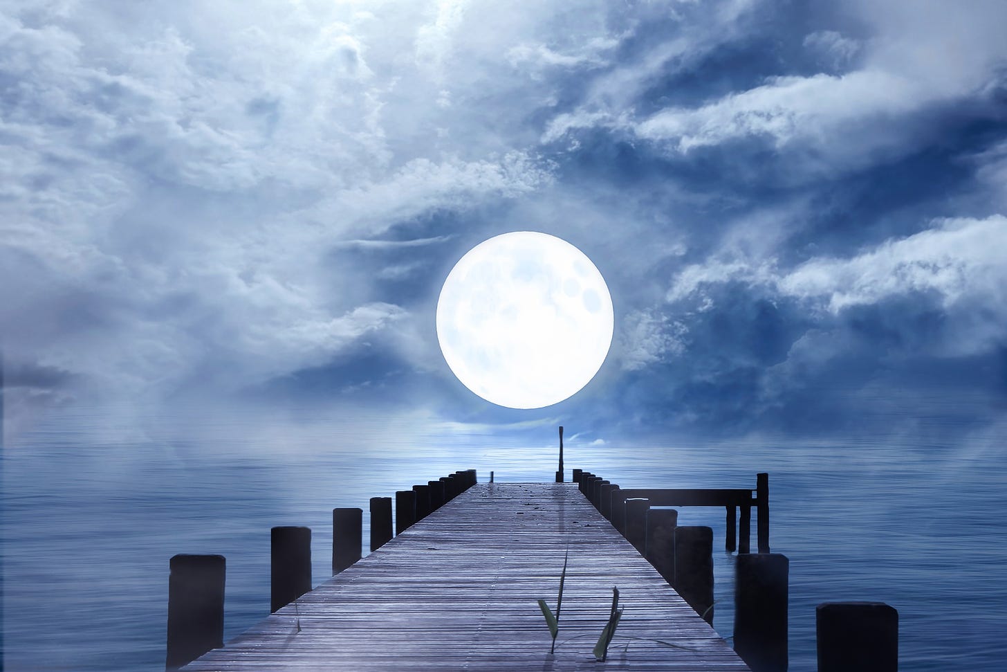 “Once in a Blue Moon”- Reconnecting with the Authentic Self Poetry Positive and powerful original poems for self love, healing journeys, shadow work, inner child healing, and divine feminine energy healing