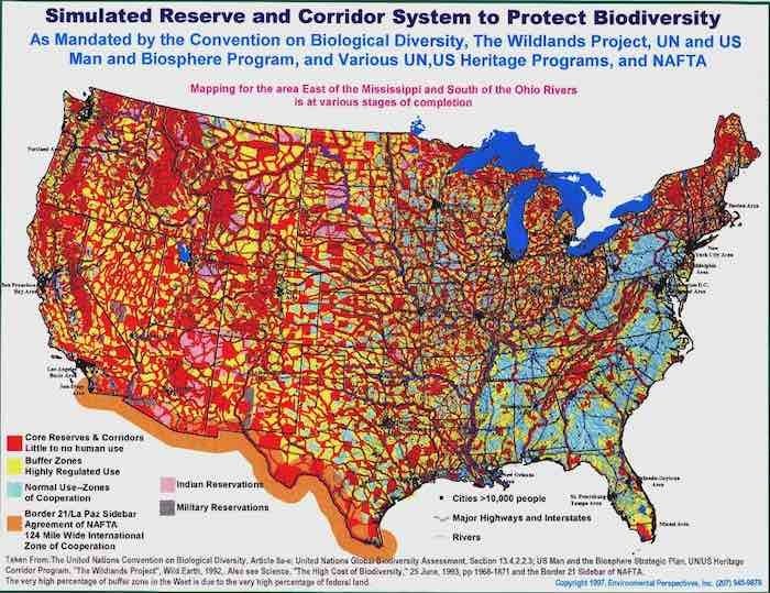 SIMULATED RESERVE AND CORRIDOR SYSTEM TO PROTECT BIODIVERSITY