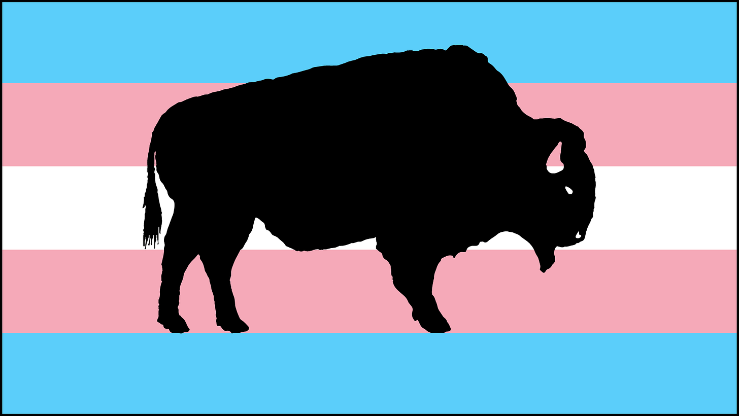 Decorative. A bison silhouette stands before the blue, pink and white transgender flag.