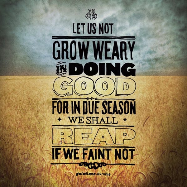 keep sowing