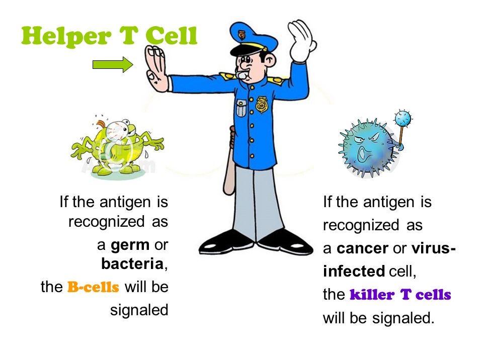 The Immune System. What&#39;s up with that.. What is it? The immune system is  the network of specialized cells and organs that work together to defend  the. - ppt download