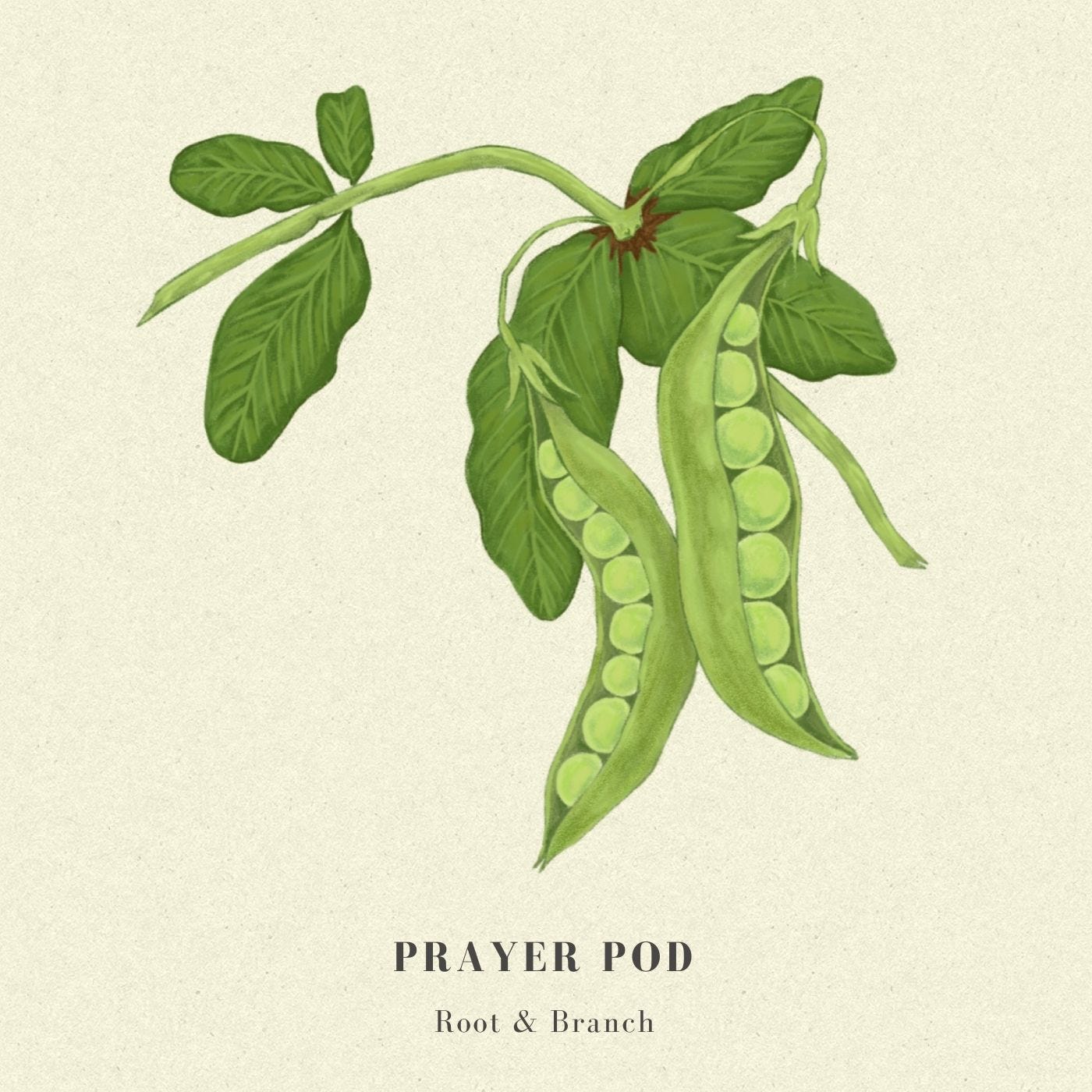 Prayer Pod logo