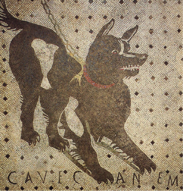 Beware the Dog mosaic