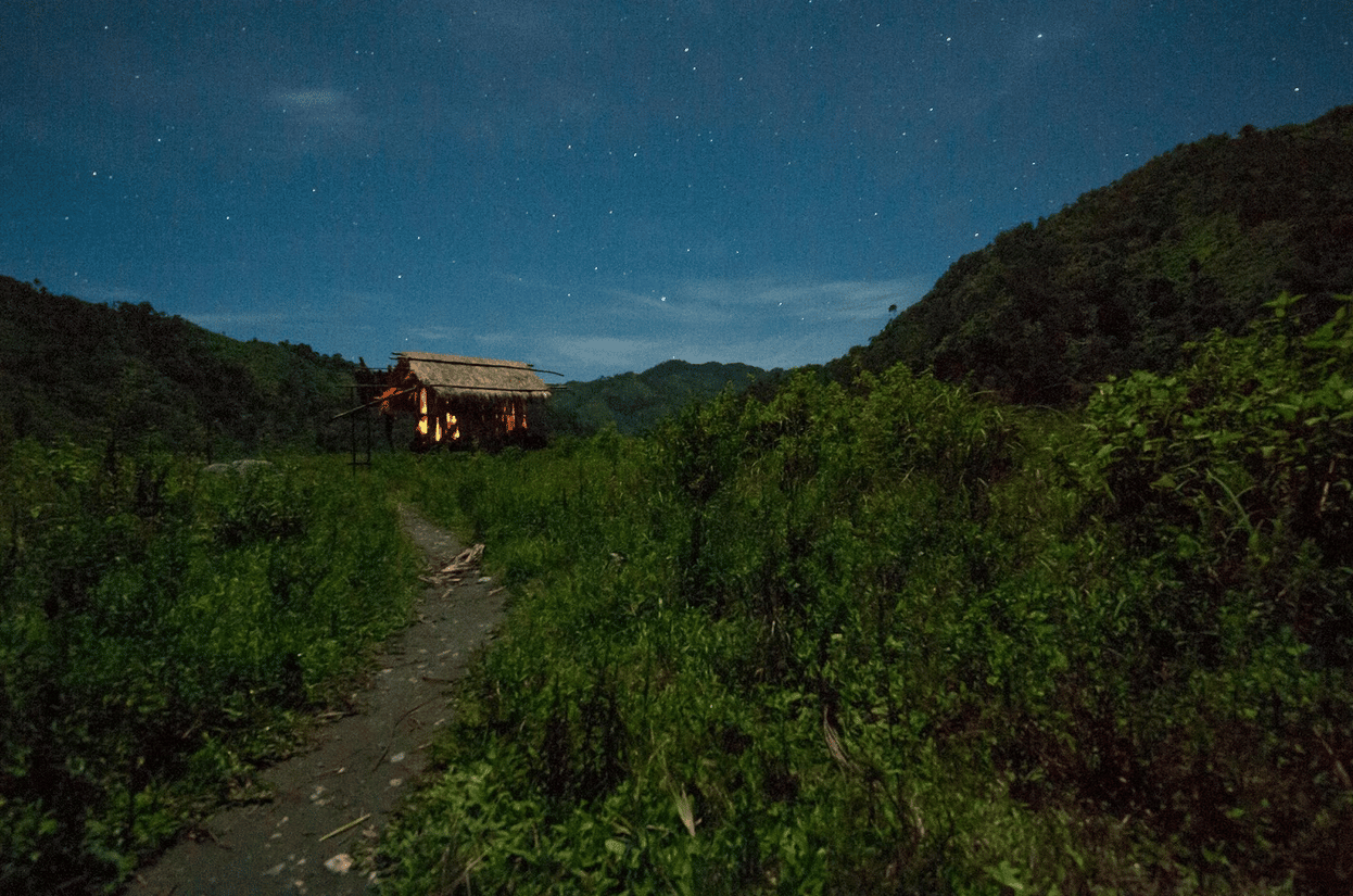 A wooden structure glowing red with fire sits amongst the trees and plants. A blue, starry sky is the background