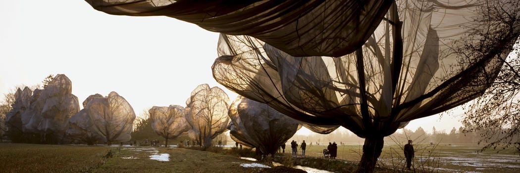 Wrapped Trees, Fondation Beyeler and Berower Park, Riehen, Switzerland, 1997-98