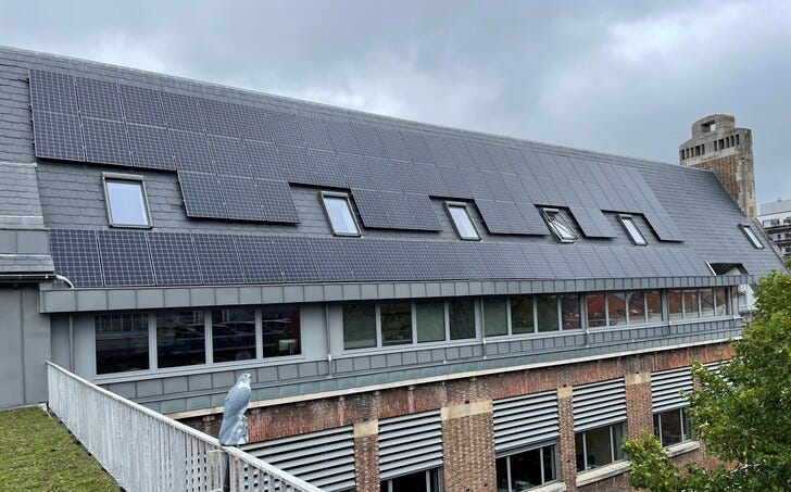 Photo of solar panels on the roof of the Statik office in Leuven