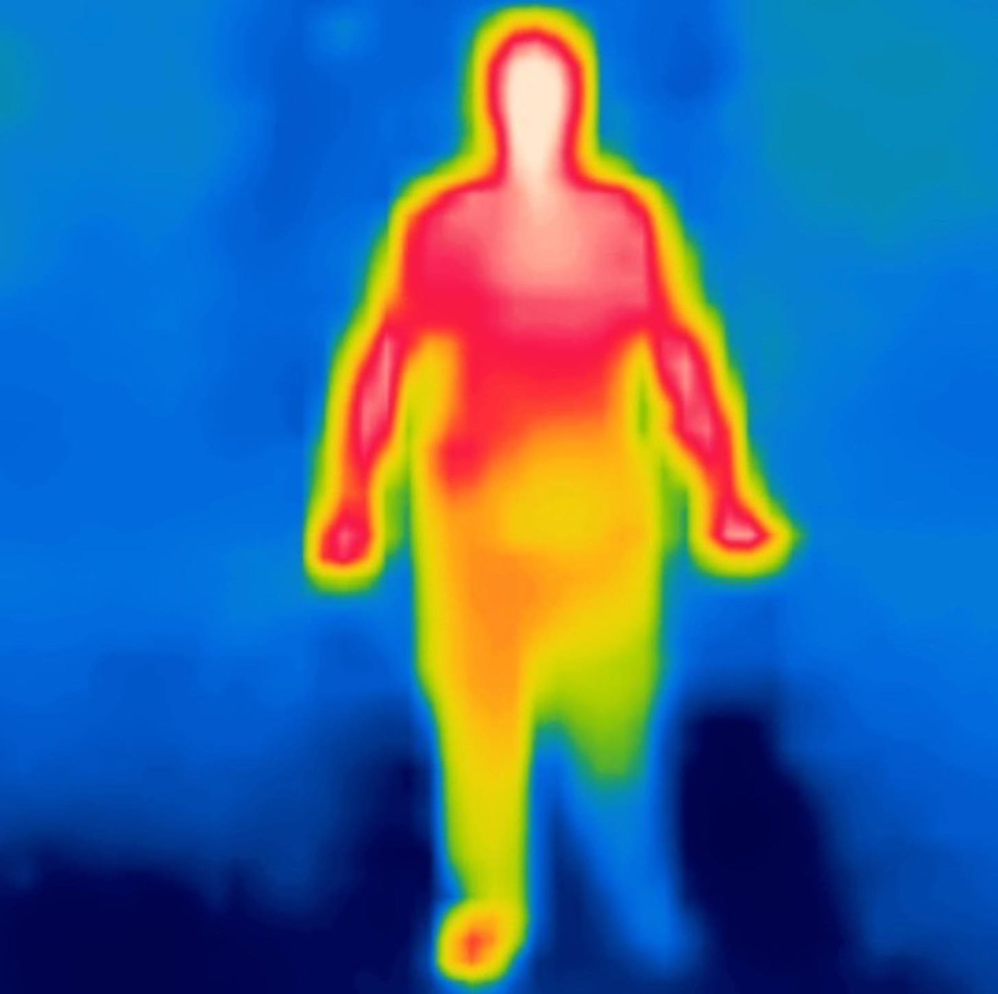 Thermography of David Gissen by Philippe Rahm, 2019. This thermographic portrait of me was made in collaboration with the architect Philippe Rahm. The thermographic image captures the heat outline of my body underneath my clothes and reveals that I wear a full-length prosthesis on my left side. It demonstrates the heat-insulating property of artificial limbs, as my residual limb extends down to midcalf but can barely be seen in the image.