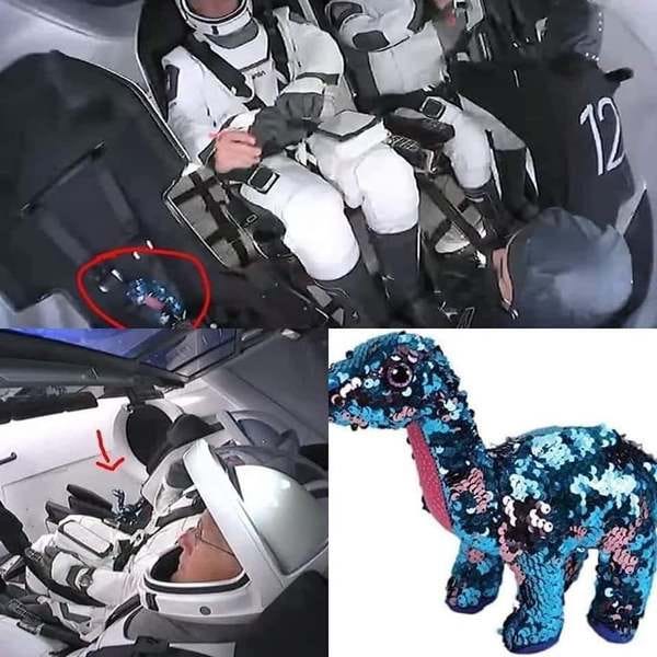 1961: First human in space. 2020: First dinosaur in space. His name is Tremor, and he’s SpaceX zero G indicator. - Credit: Reddit/u/winterfellhari