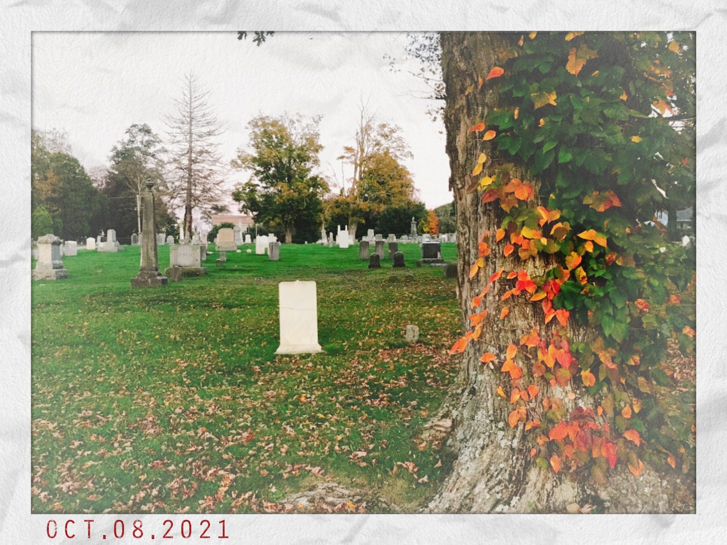 Picture of a cemetery with older grave markers, leaves on the ground, and orange ivy wrapped around a tree trunk. Dated October 8, 2021.