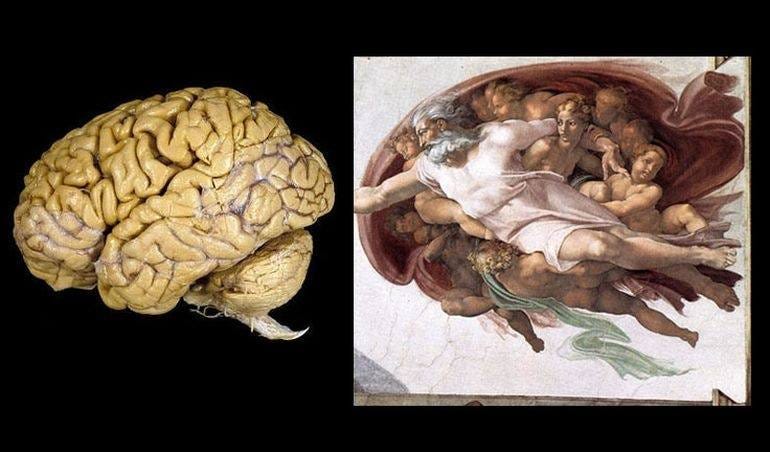 What&#39;s the relation of God and the human brain in Michelangelo&#39;s The  Creation of Adam? - Quora