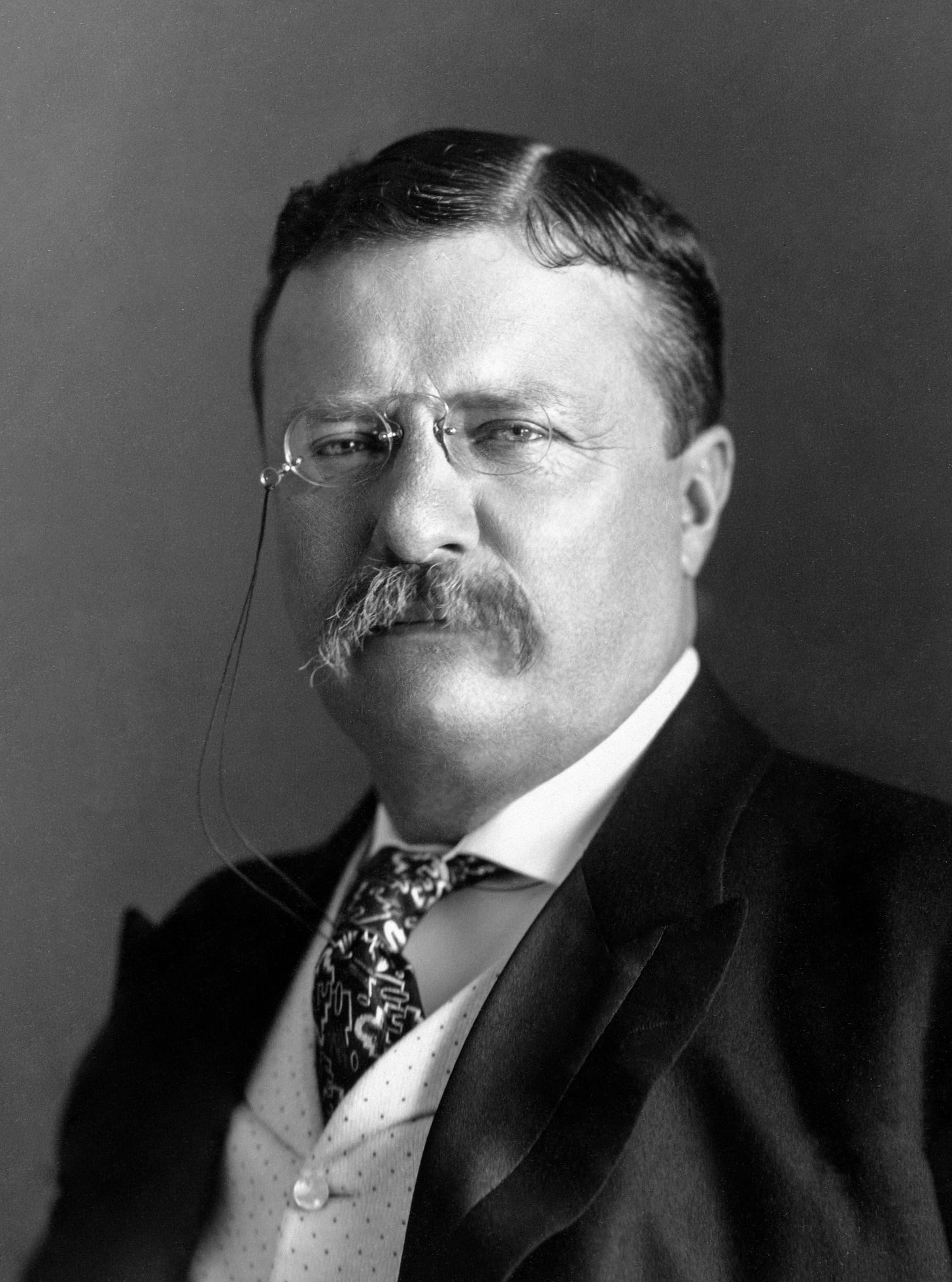 Theodore Roosevelt - Wikipedia