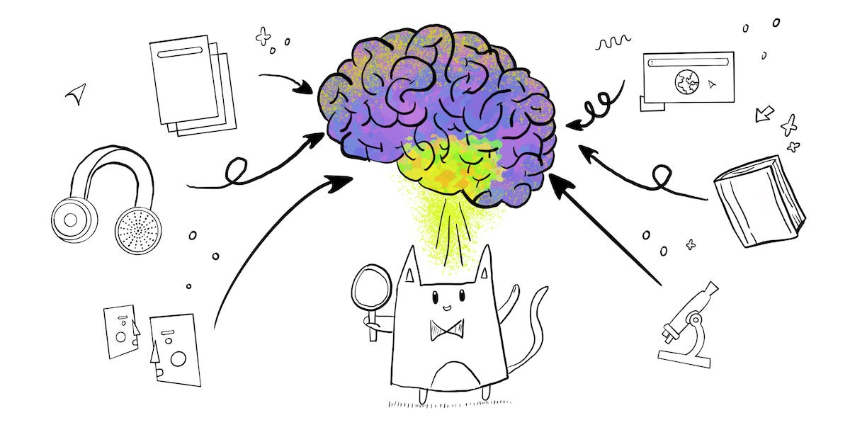 Cat holding a magnifying glass, viewing a brain with different sources of information entering it — papers, audio, people talking, websites, books and a microscope (representing science)