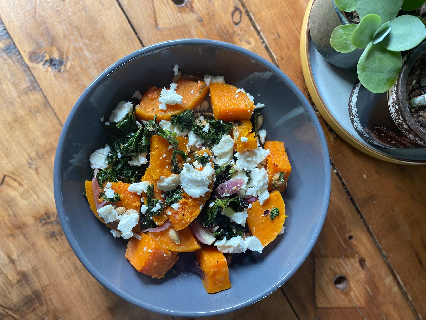 Grey bowl filled with squash, red onion, white crumbled cheese and kale. The bowl is placed next to a succulent plant on the table