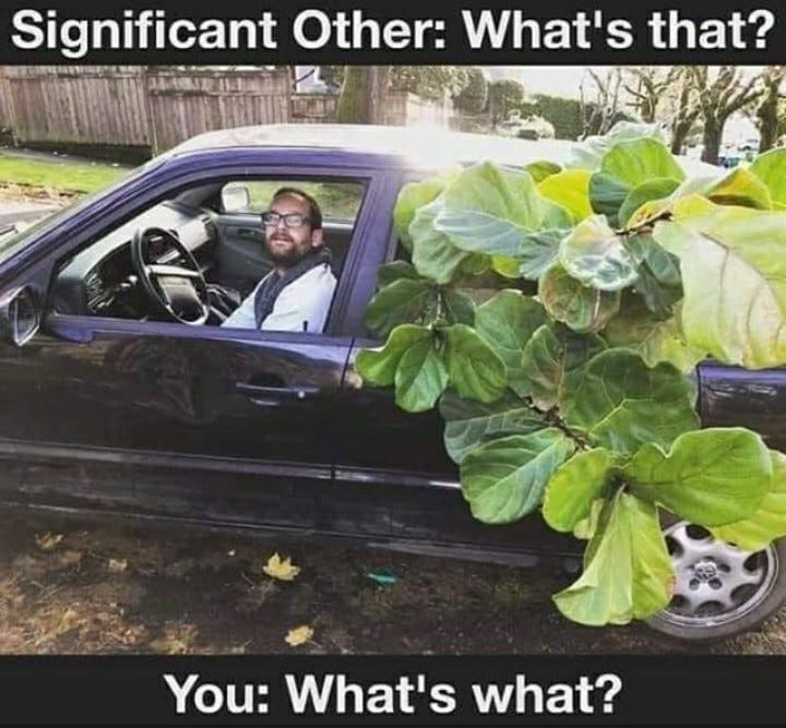 60 Plant Memes For You To Dig Through - Funny Gallery