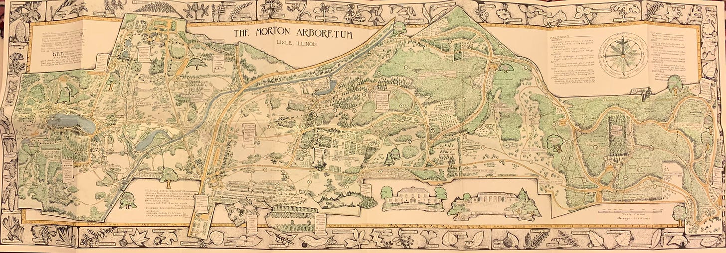 Ink illustrated and color map of the Morton Arboretum, with tree leaf details around the edges and highlights of buildings and notable areas/trails.