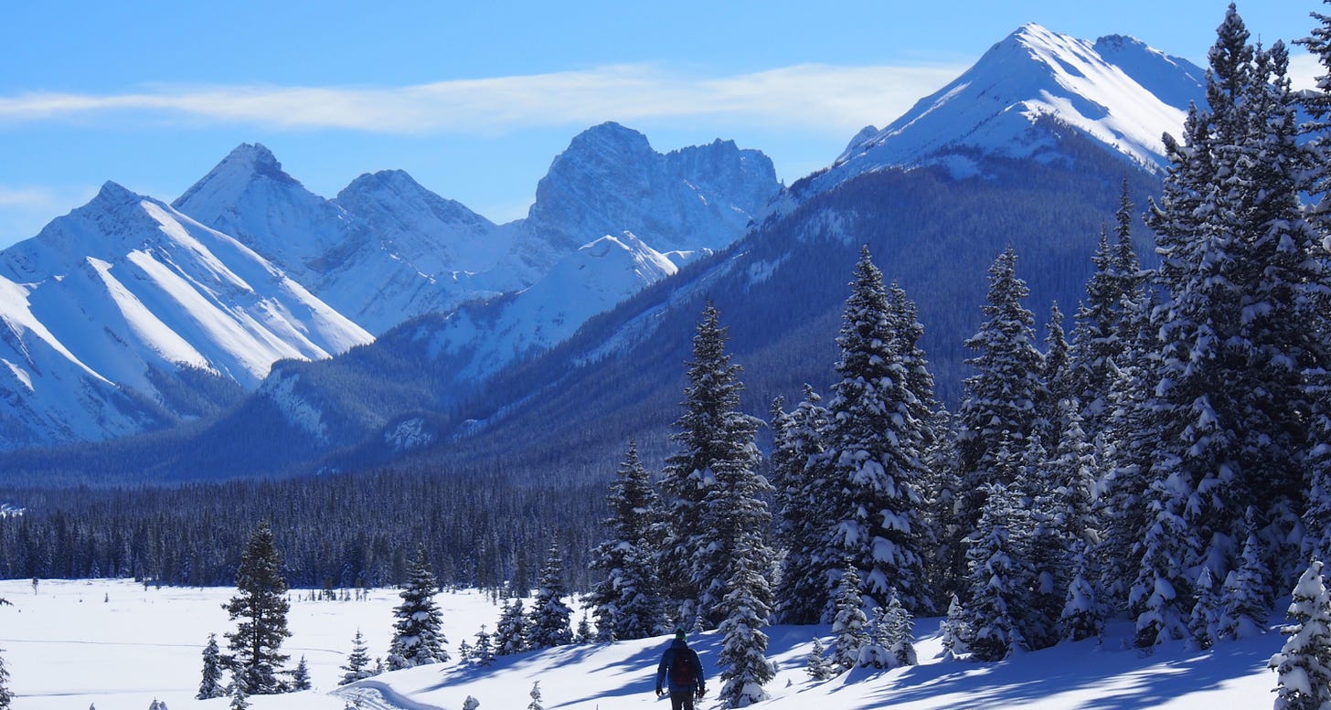 A photo of the Canadian Rockies
