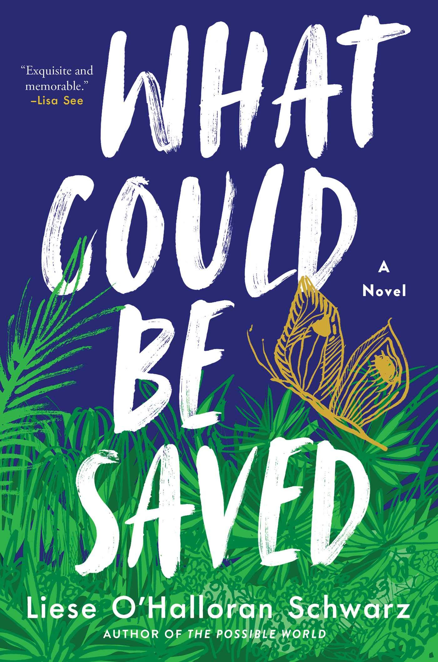What Could Be Saved: A Novel: Schwarz, Liese O'Halloran: 9781982150617:  Amazon.com: Books