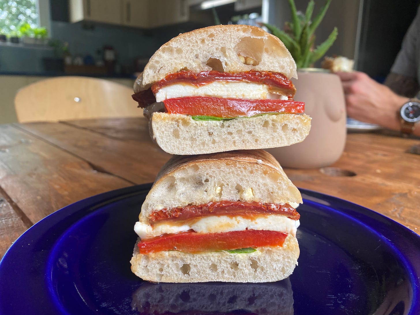 Open side of a panini sandwich showing a filling of mozzarella, sun dried tomato, roasted peppers, basil leaves. Sandwich is on a blue plate on a wooden table. A cactus and a person's arm are in the background