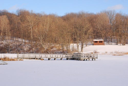 Snow covered pond
