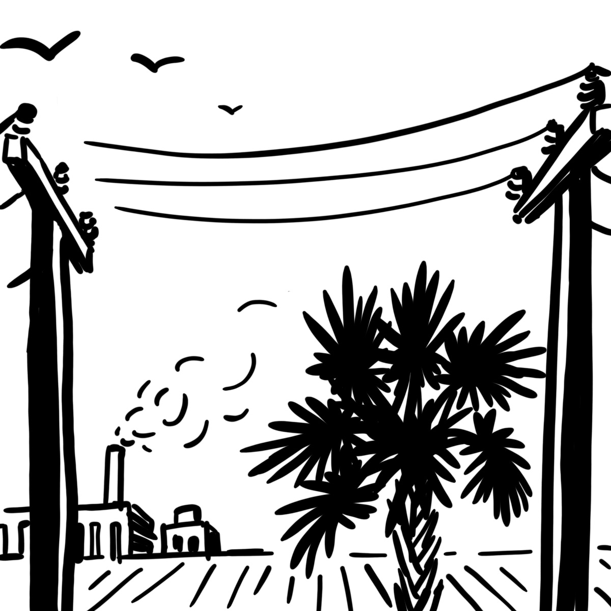 sketch of south Florida landscape with power lines, palm tree, sugarcane fields, and sugar refinery