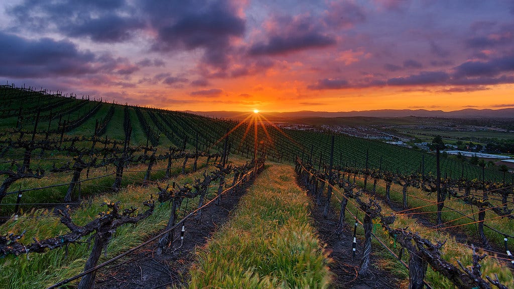 "Vineyard Spring Sunrise" by Jaykhuang is licensed under CC BY 2.0.