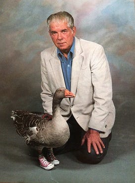A portrait photograph of an older man in a cream-colored blazer kneeling behind a handsome goose, who is wearing what appear to be little Chuck Taylor All-Stars. 