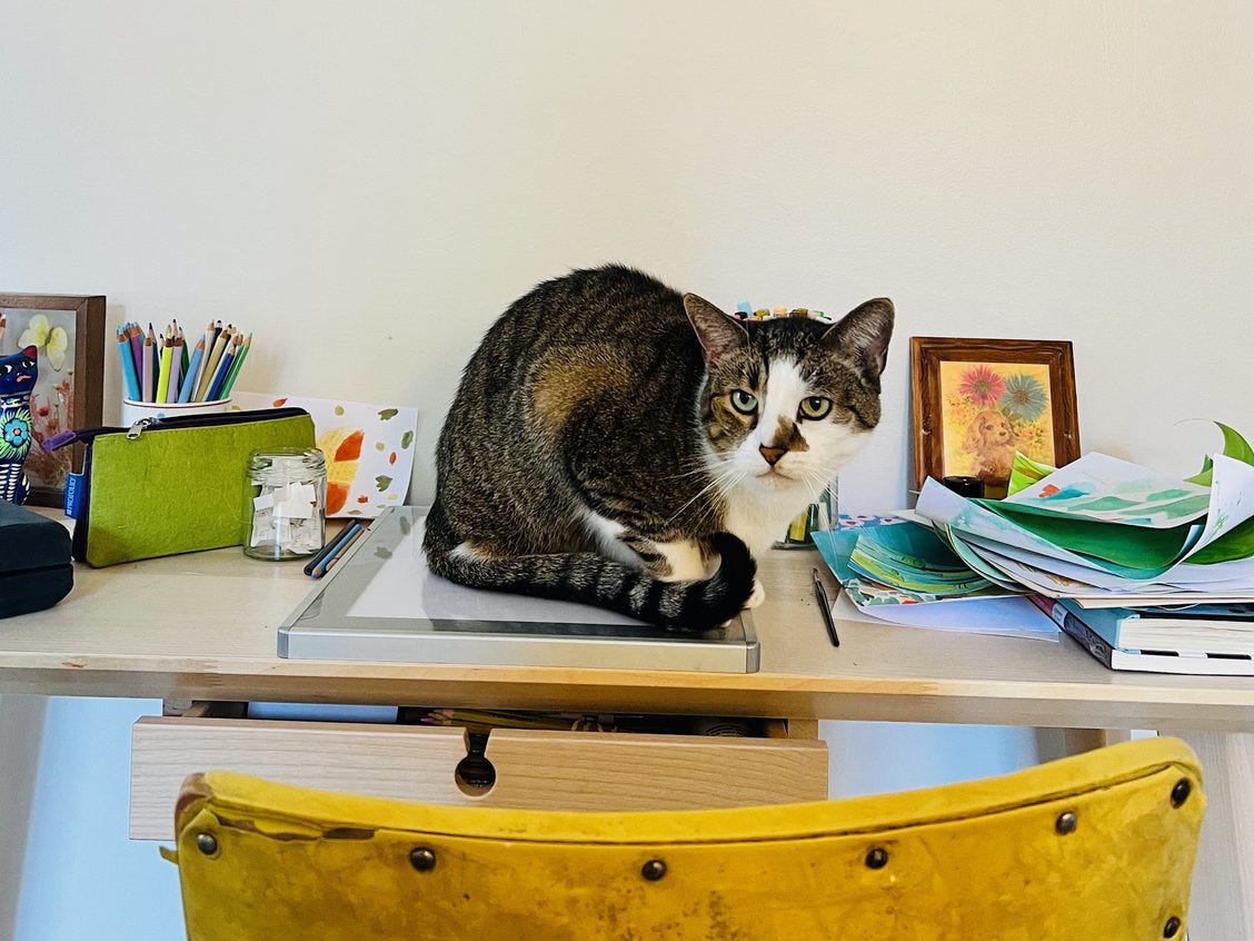 tabby cat sitting on a lightbox