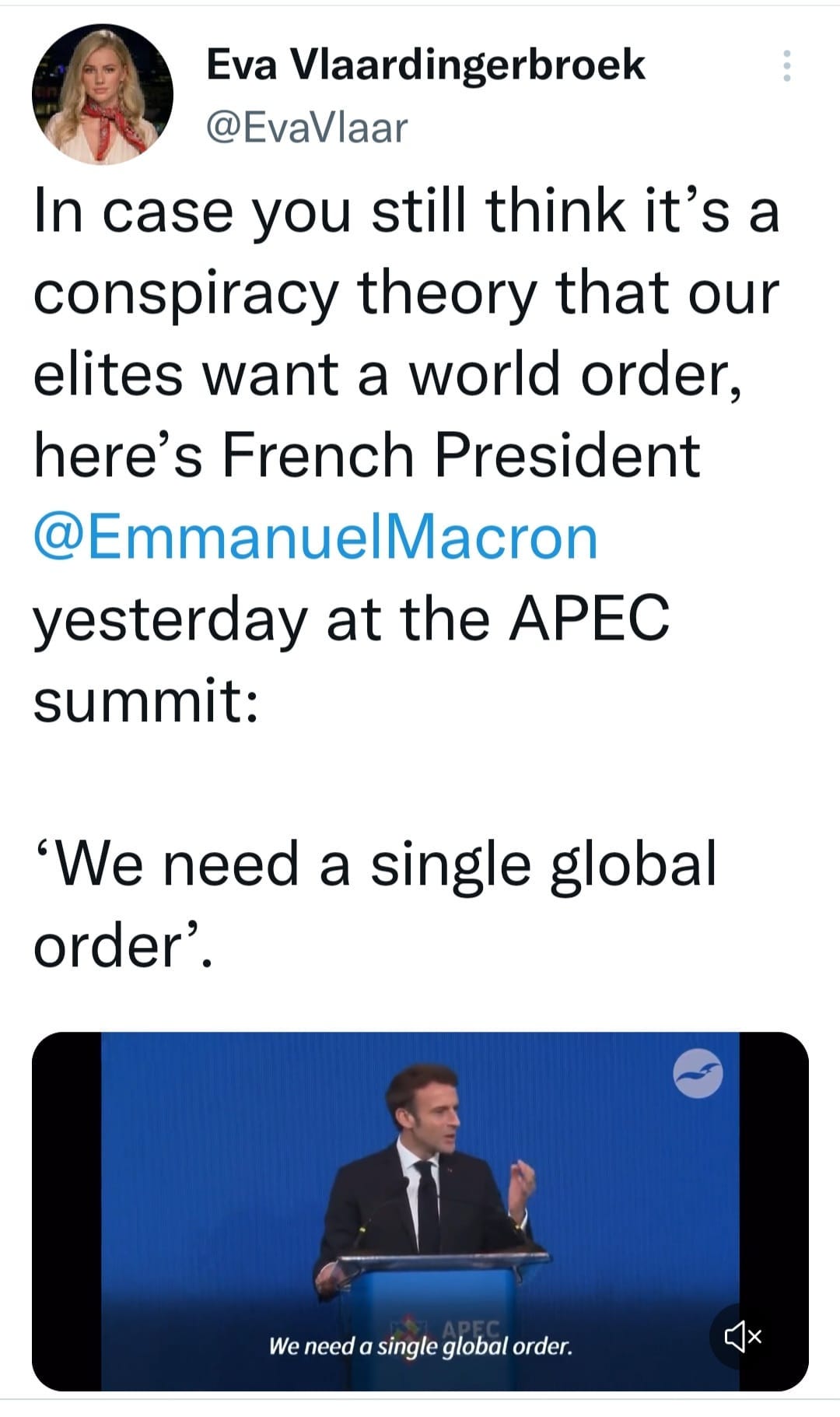 May be a Twitter screenshot of 2 people and text that says 'Eva Vlaardingerbroek @EvaVlaar In case you still think it's a conspiracy theory that our elites want a world order, here's French President @EmmanuelMacron yesterday at the APEC summit: 'We need a single global order'. We need a single global order.'