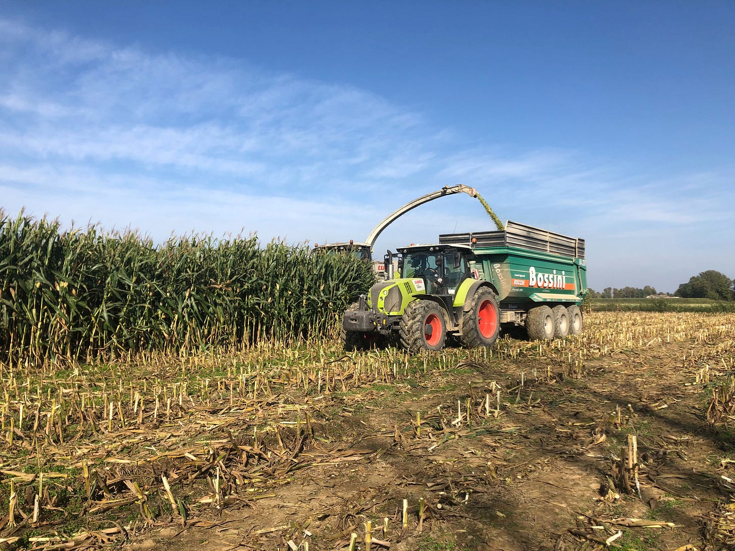 Agricoltura, campi, aziende agricole 