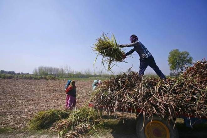 From plate to plough: Over Rs 45 lakh crore plundered from farmers - The  Financial Express