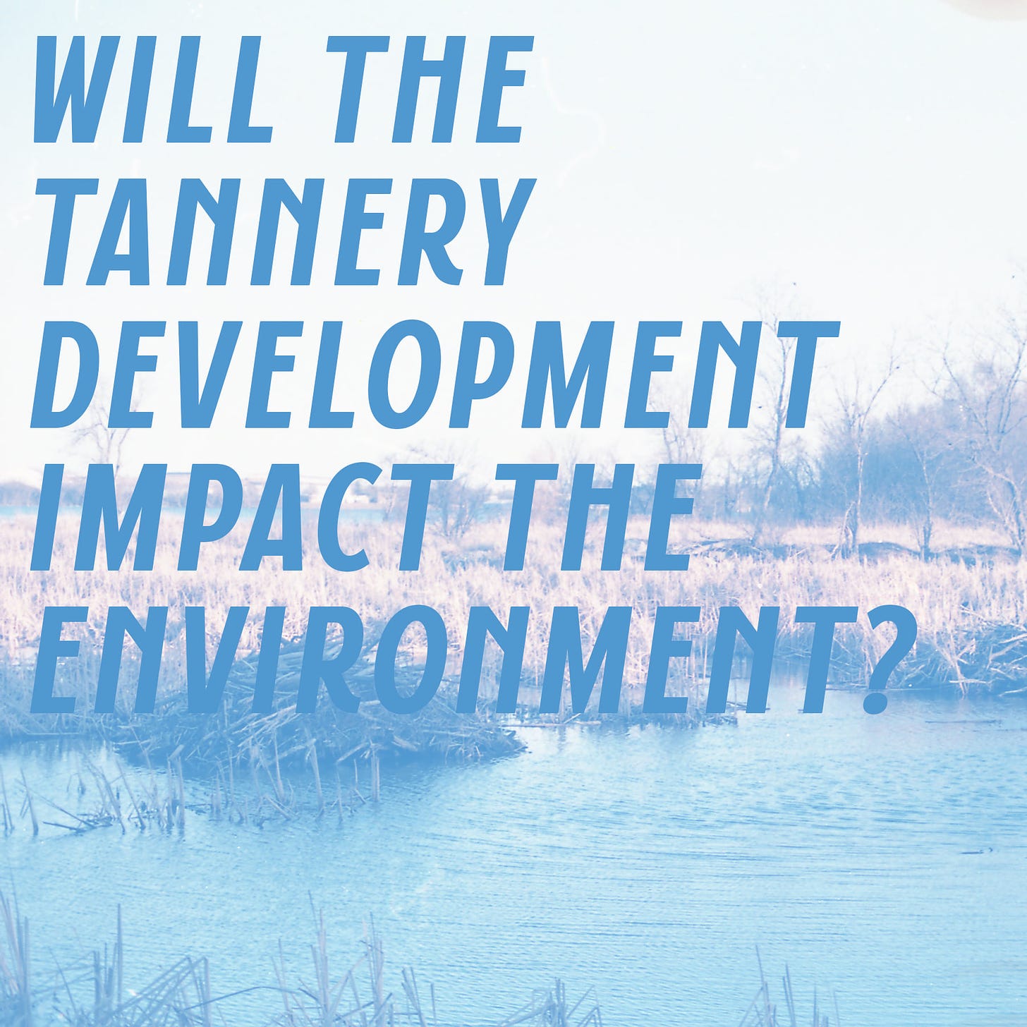 May be an image of sky and text that says 'WILL THE TANNERY DEVELOPMENT IMPACT THE ENVIRONMENT?'