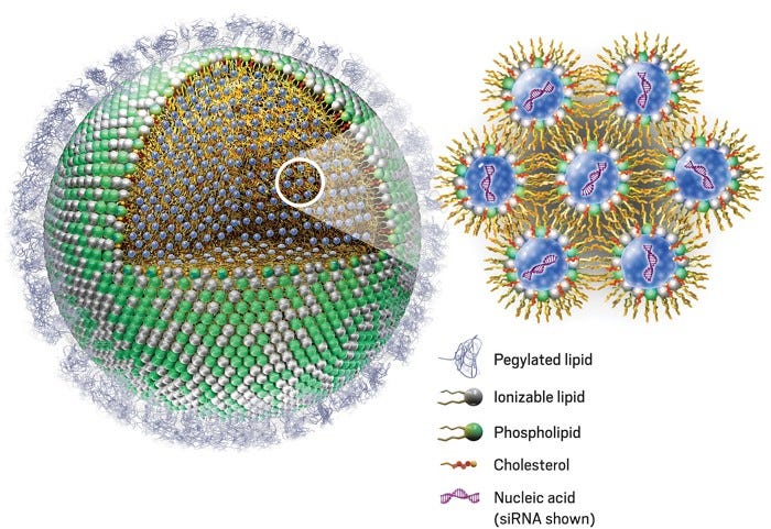 A diagram showing the parts of a lipid nanoparticle.